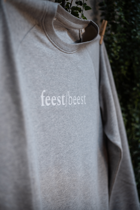 Sweater / feest/beest / grijs