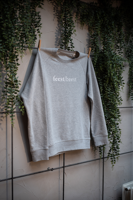 Sweater / feest/beest / grijs